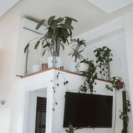 Luxury Loft - *