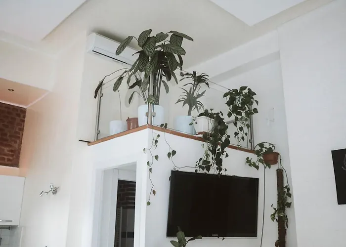 Luxury Loft - *